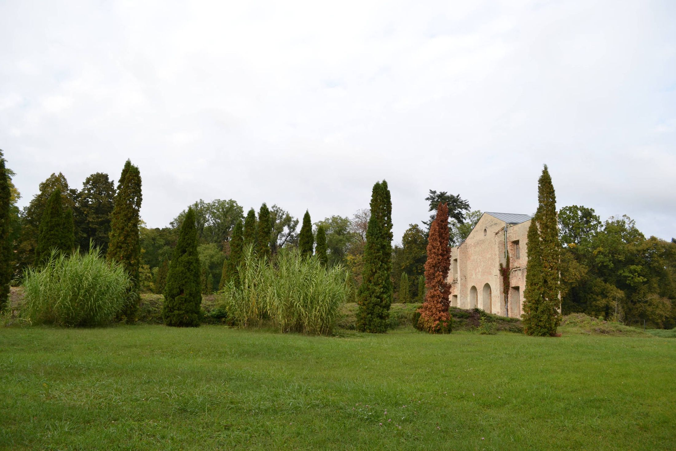 5 gyönyörű arborétum, ahova érdemes ellátogatni