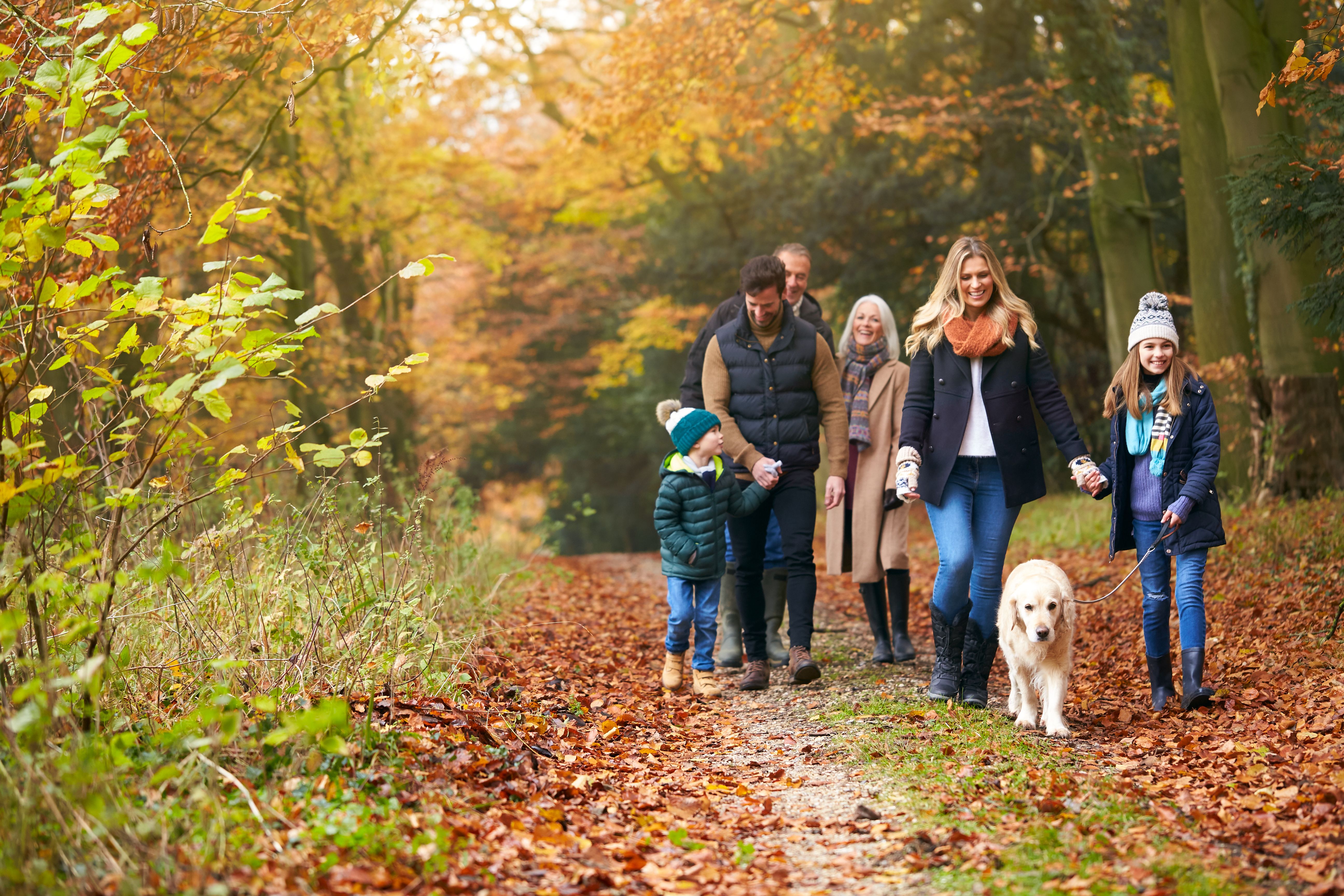 Irány a természet! - családi programok az őszi szünetre
