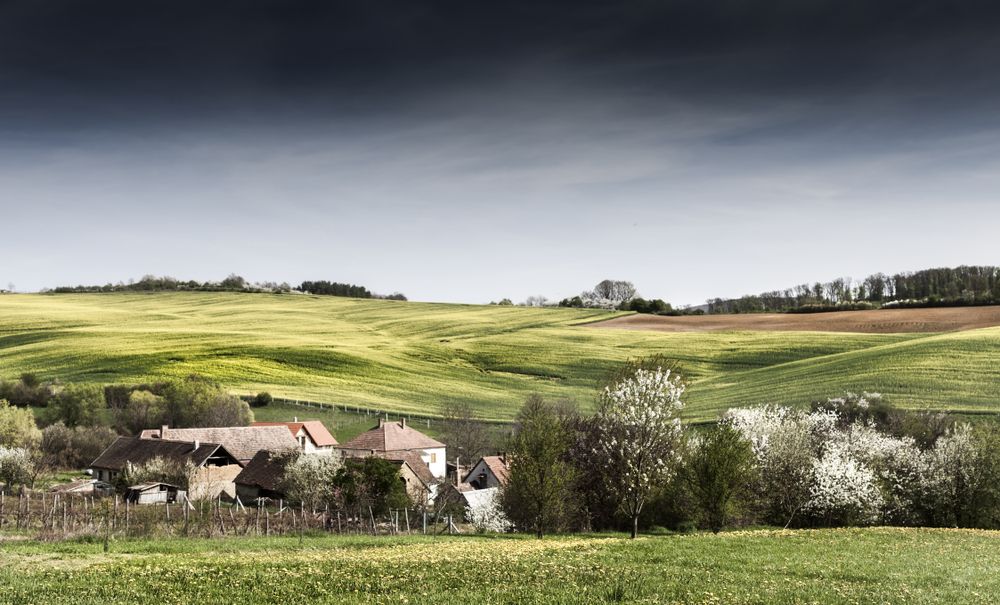 Pezsgést hoz a Falusi CSOK