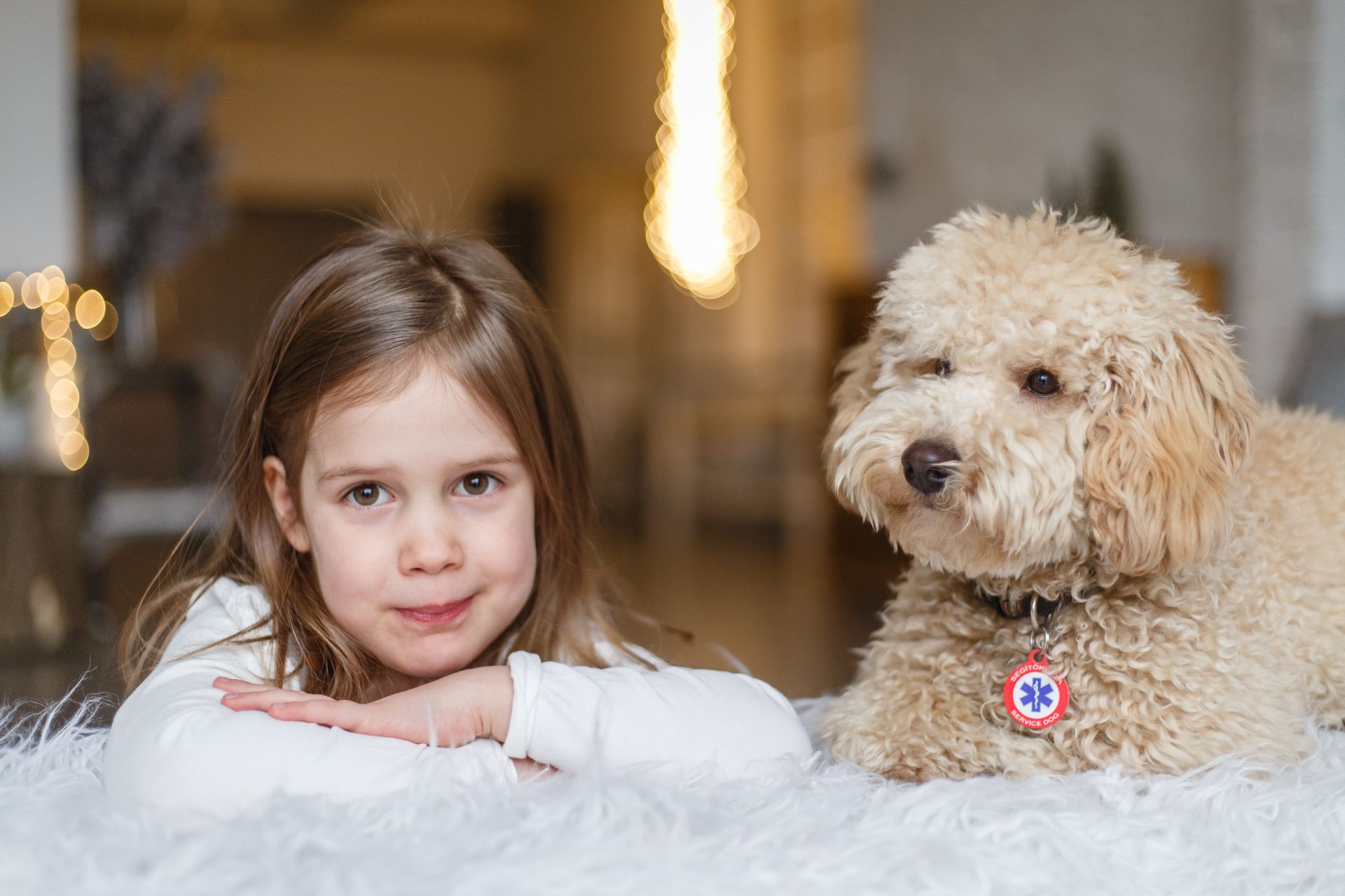 Már őrzi gazdája egészségét az első vércukorszint jelző kutya