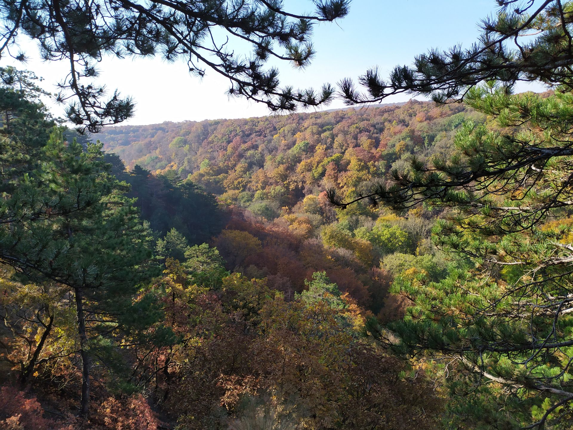 Kiránduljunk a gyerekekkel!